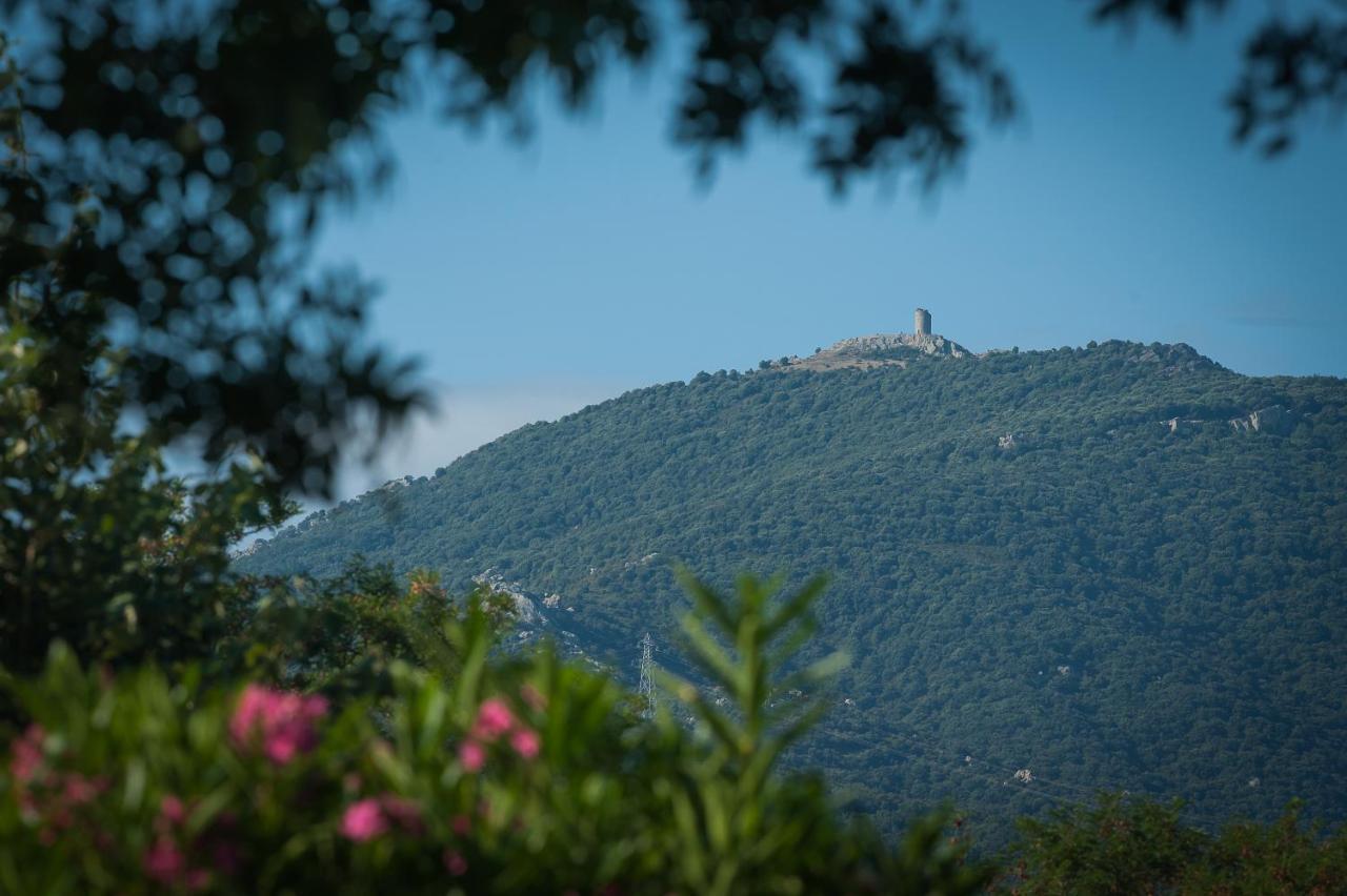 Camping La Plage Argeles Bagian luar foto
